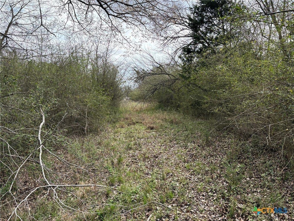 14.25 acres in Limestone County - photo 6
