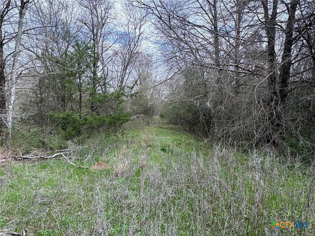14.25 acres in Limestone County - photo 7