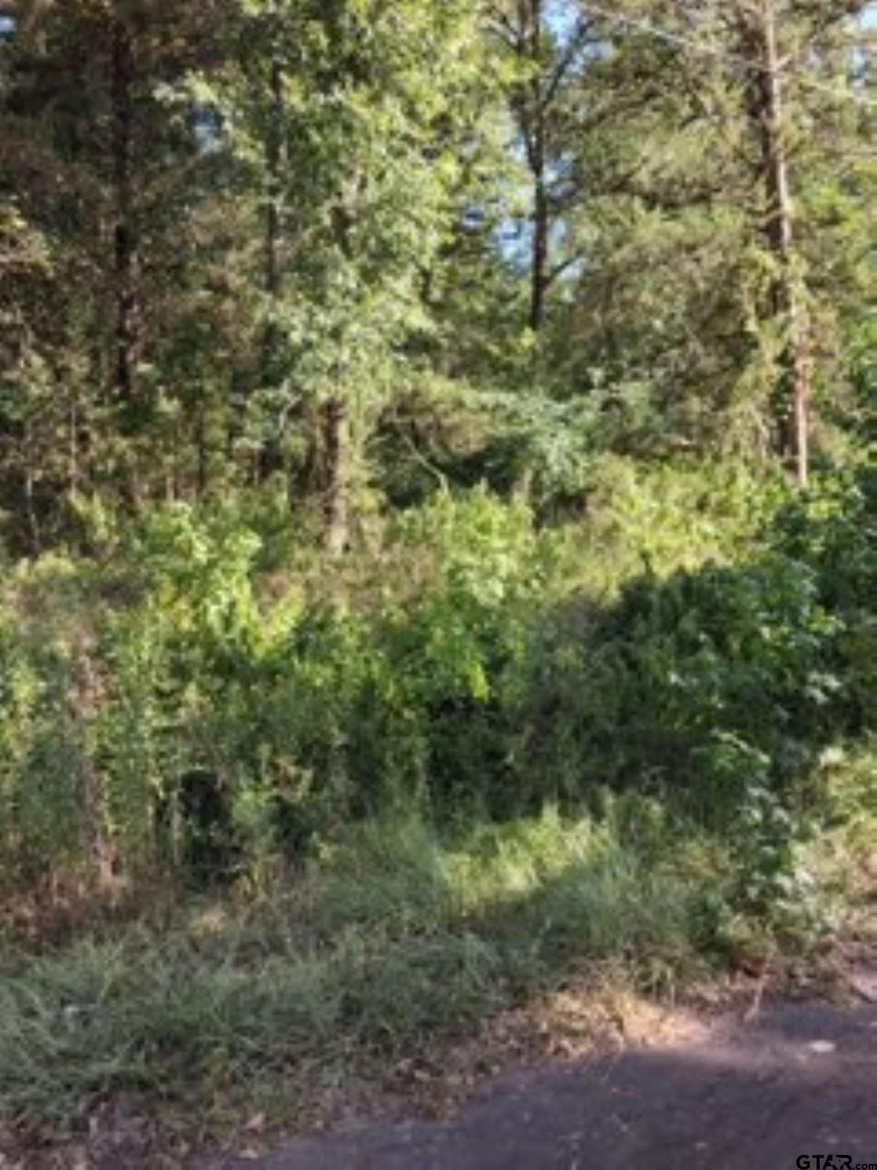 0.24 acres in Van Zandt County gallery image 3