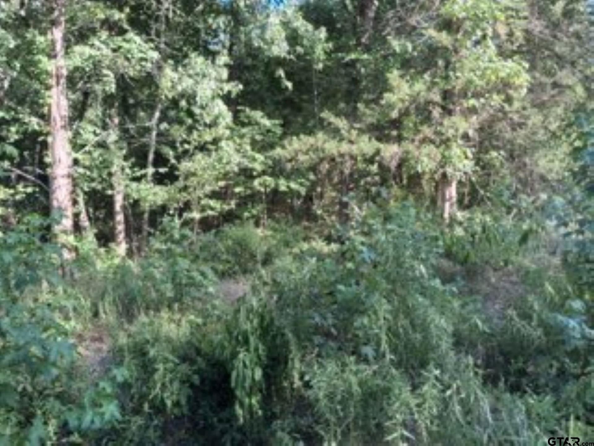 0.24 acres in Van Zandt County featured view
