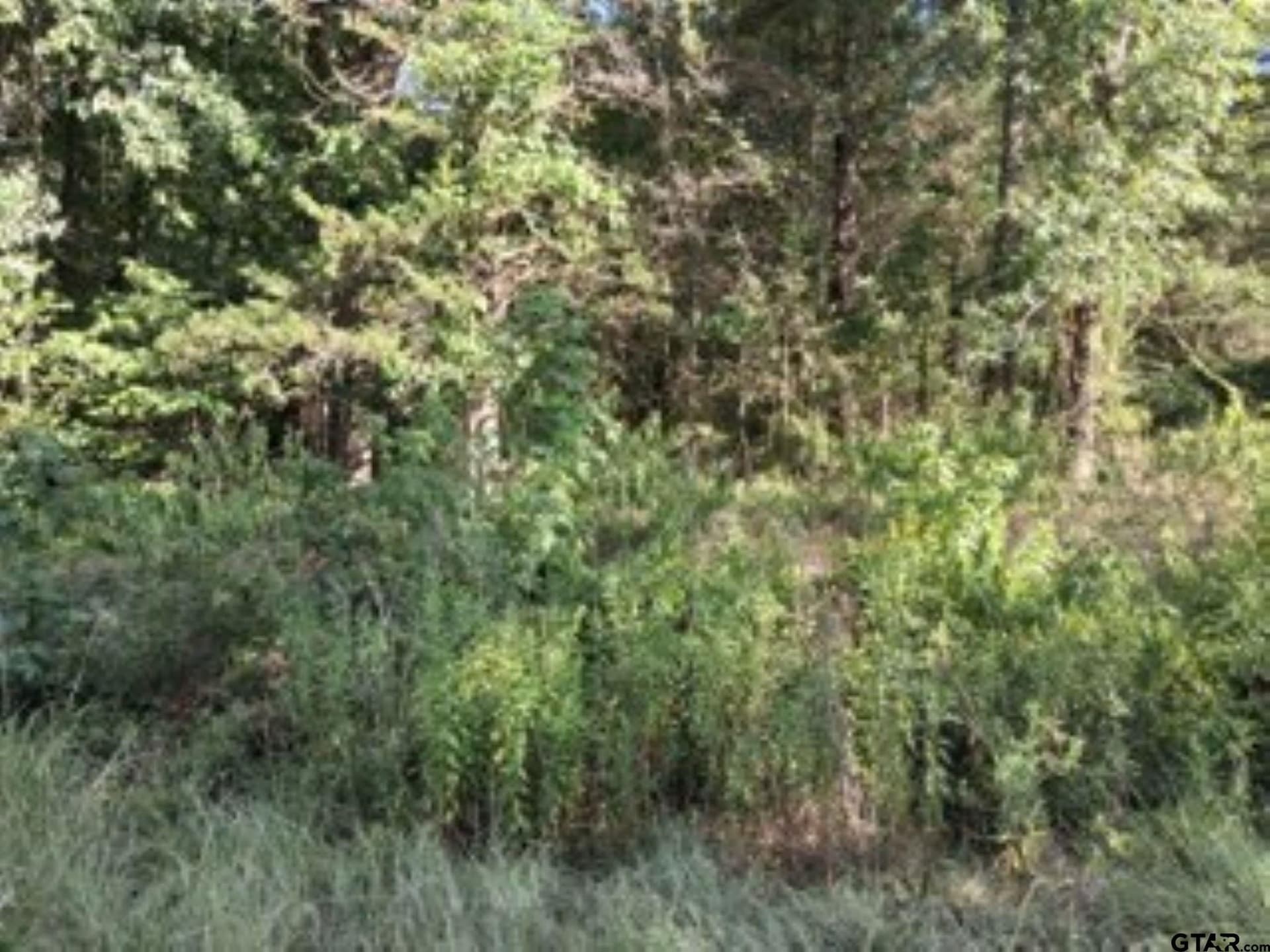 0.24 acres in Van Zandt County gallery image 4