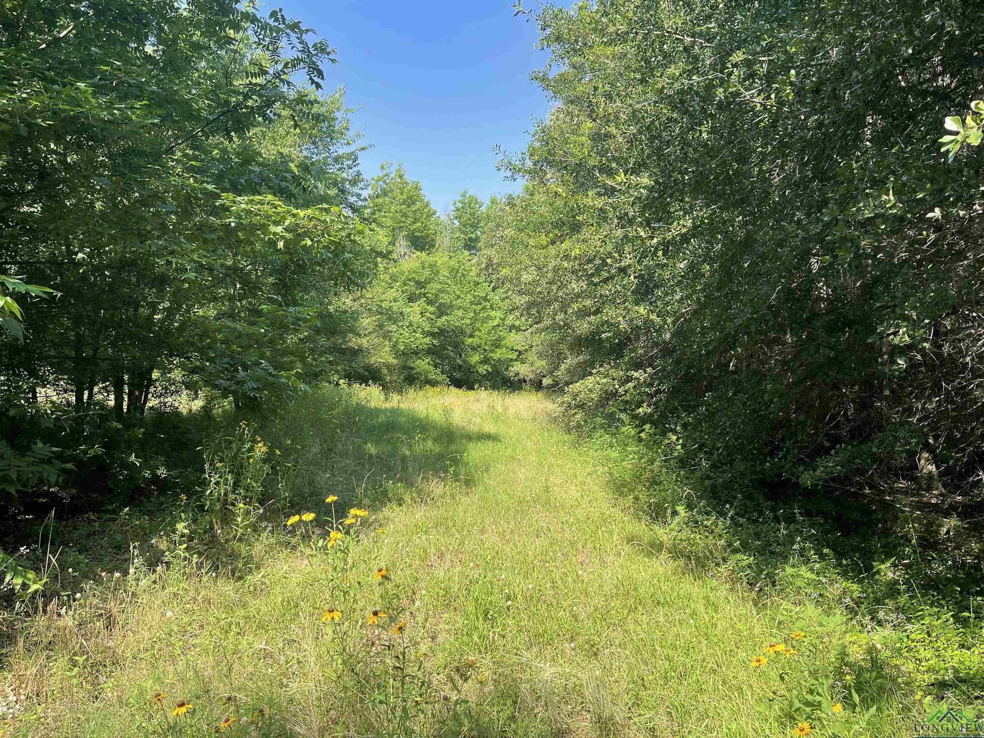 19.86 acres in Wood County