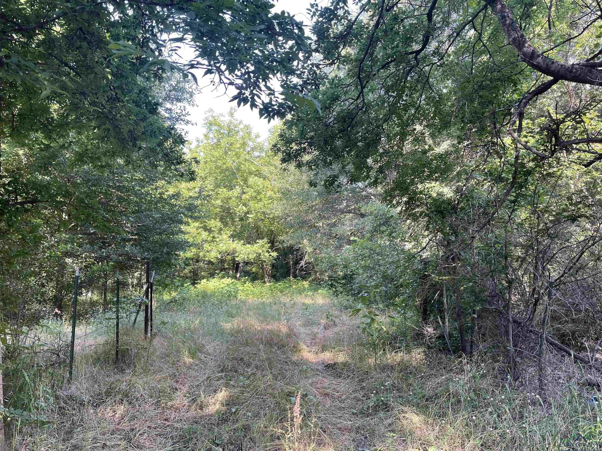 19.86 acres in Wood County featured view