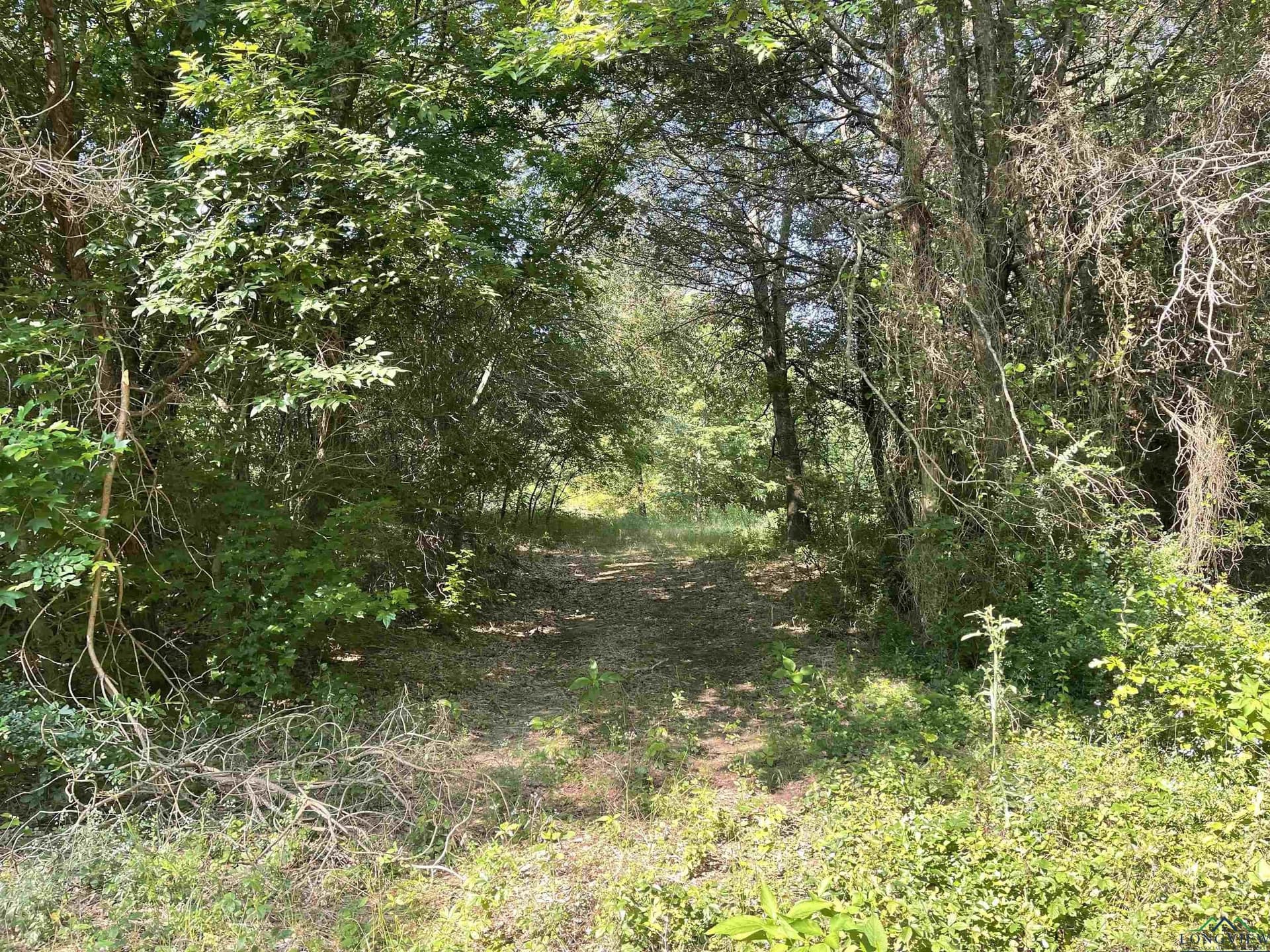 19.86 acres in Wood County gallery image 2