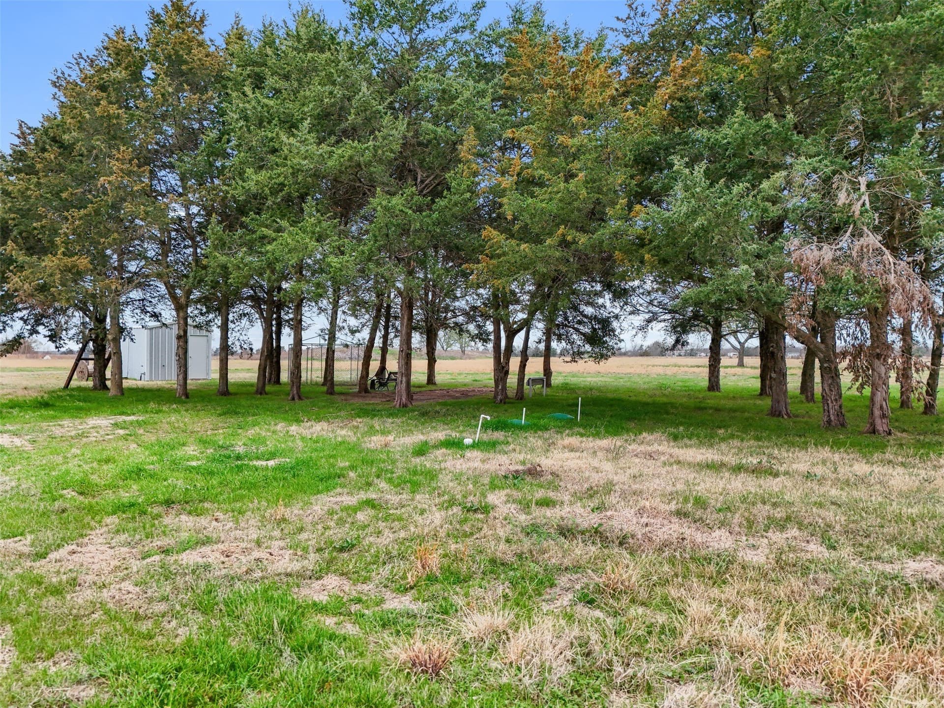 21.55 acres in Fannin County
