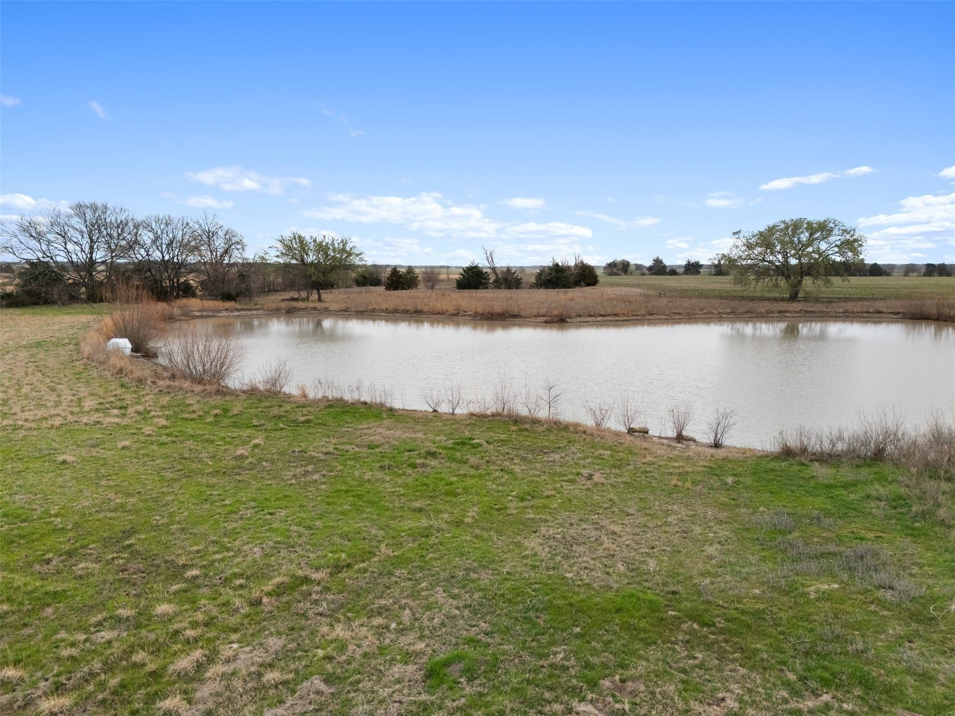 21.55 acres in Fannin County - photo 7