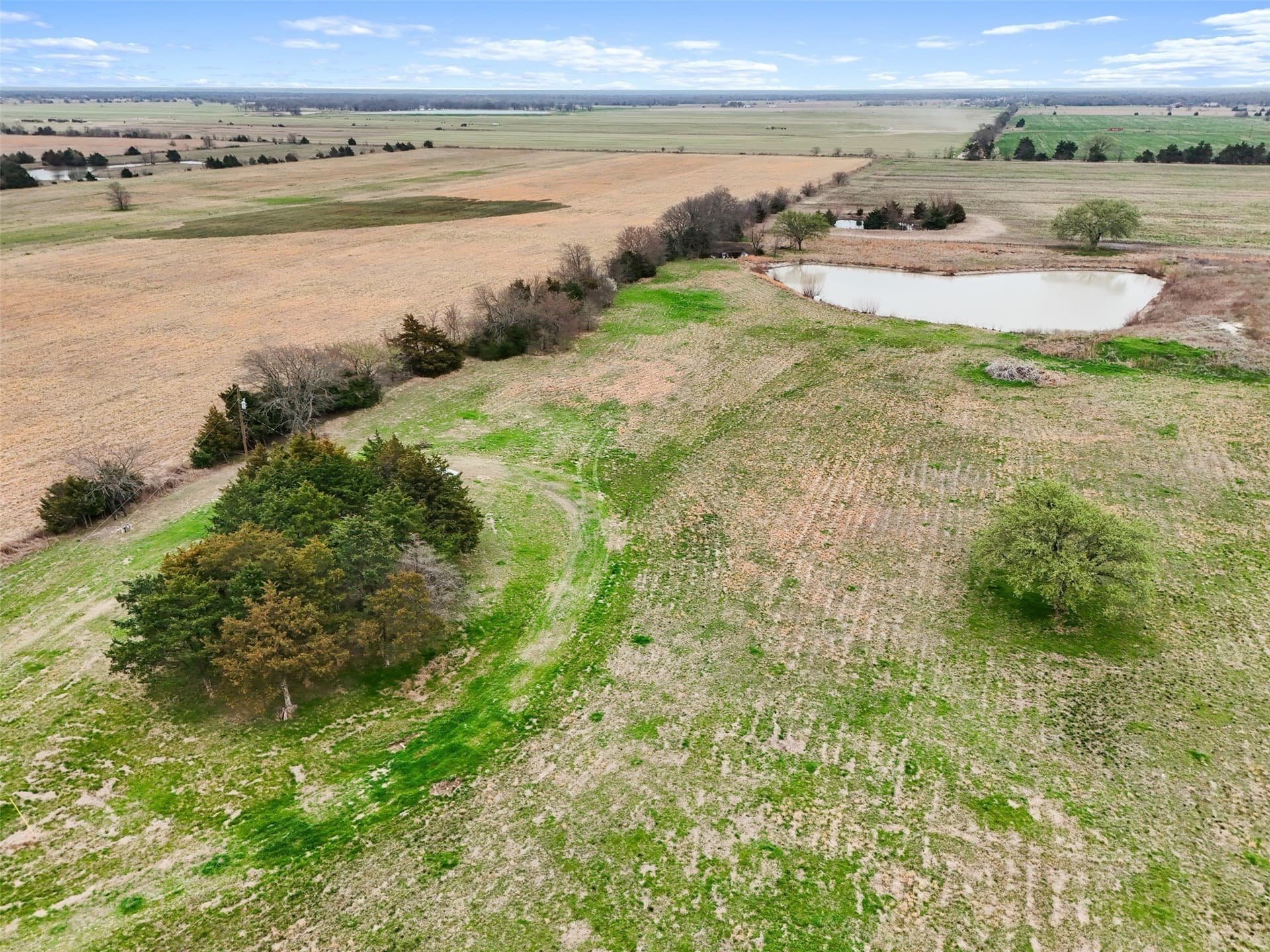 21.55 acres in Fannin County - photo 14