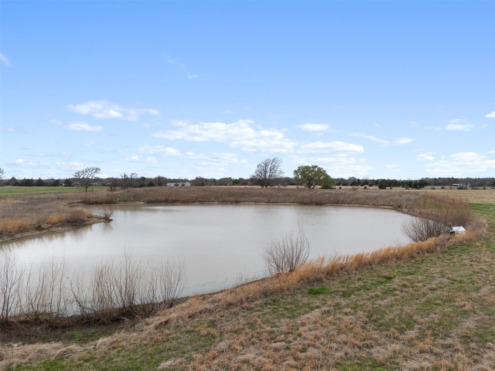 21.55 acres in Fannin County - photo 8