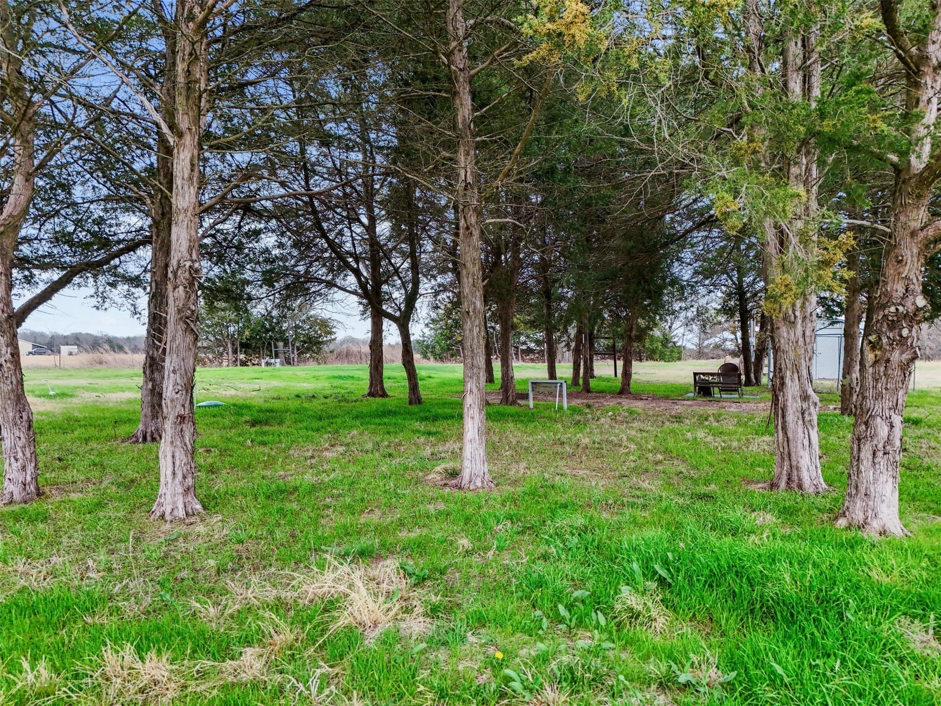 21.55 acres in Fannin County - photo 11