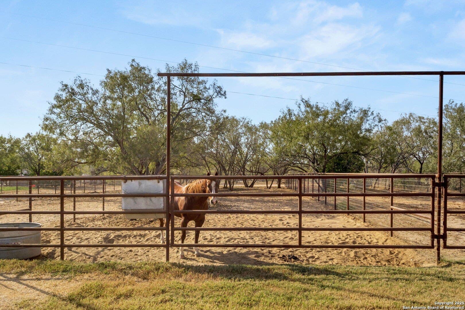13.97 acres in Guadalupe County - photo 23