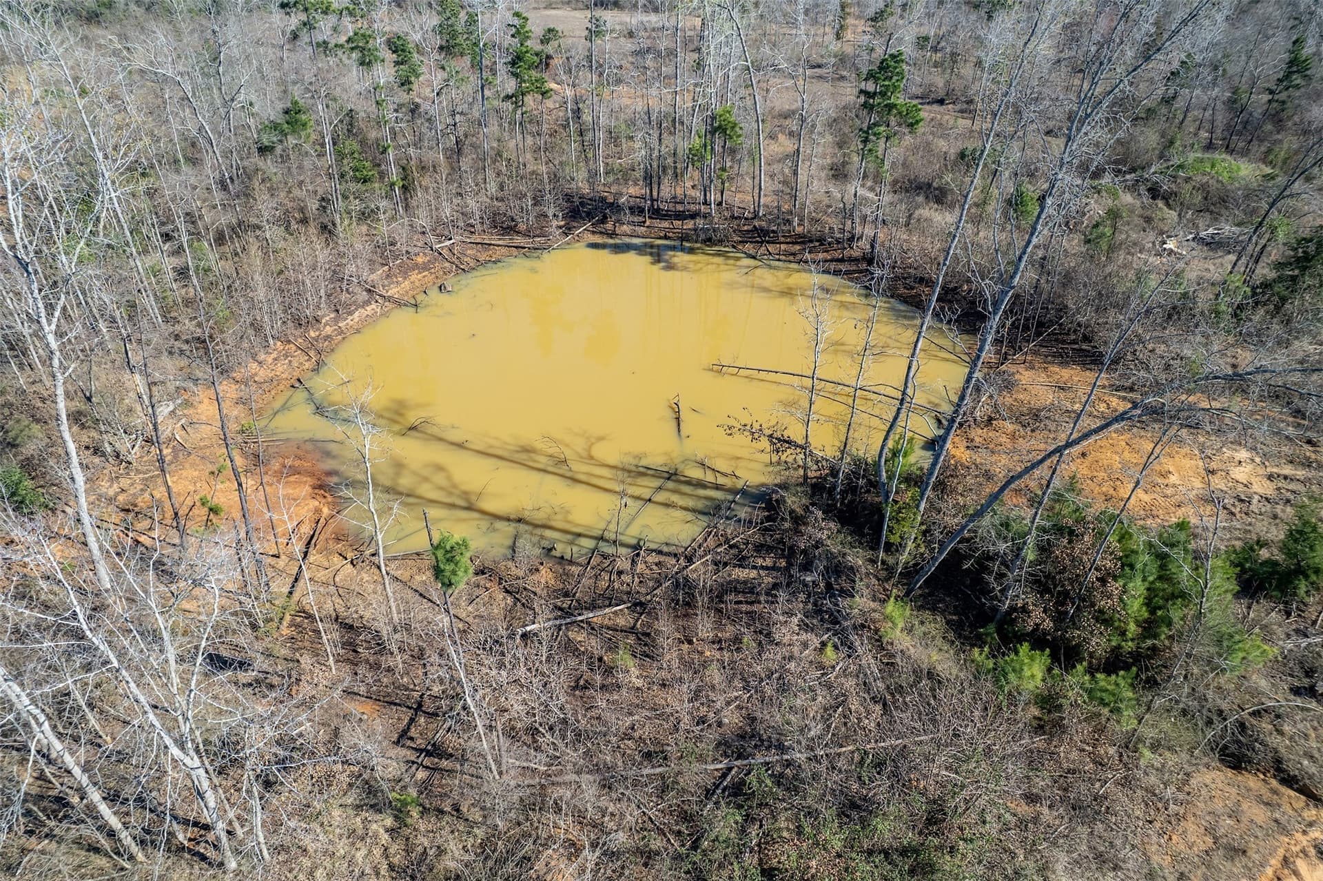53.18 acres in Smith County - photo 10