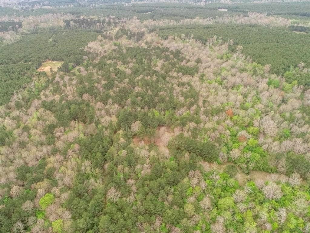 81.24 acres in Panola County - photo 39