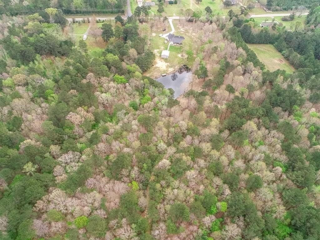 81.24 acres in Panola County - photo 32