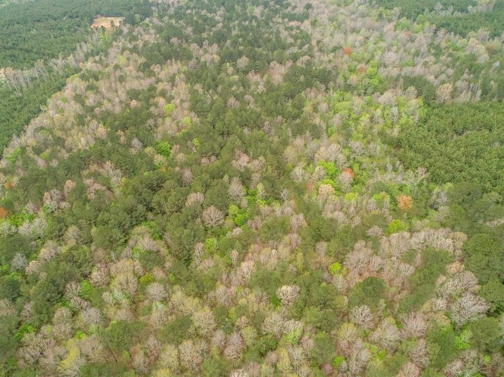 81.24 acres in Panola County - photo 31