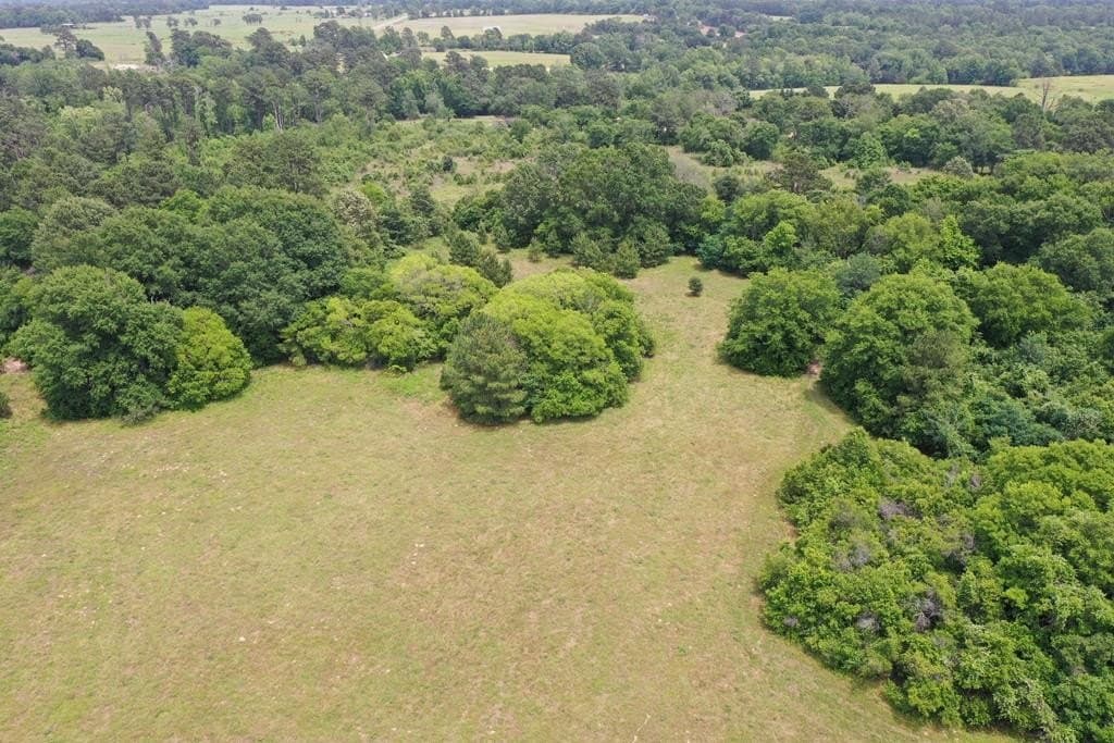 13.98 acres in ANDERSON County featured view