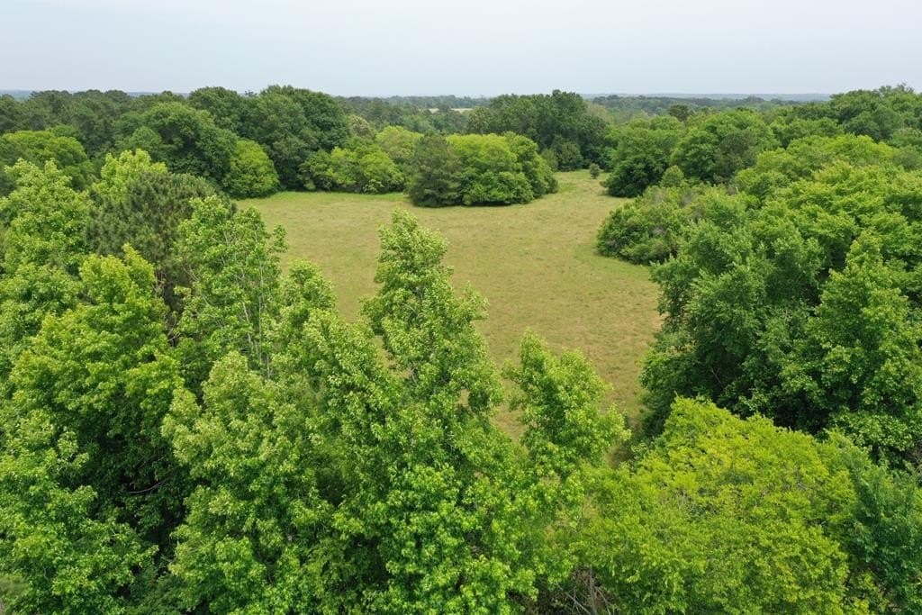 13.98 acres in ANDERSON County gallery image 2