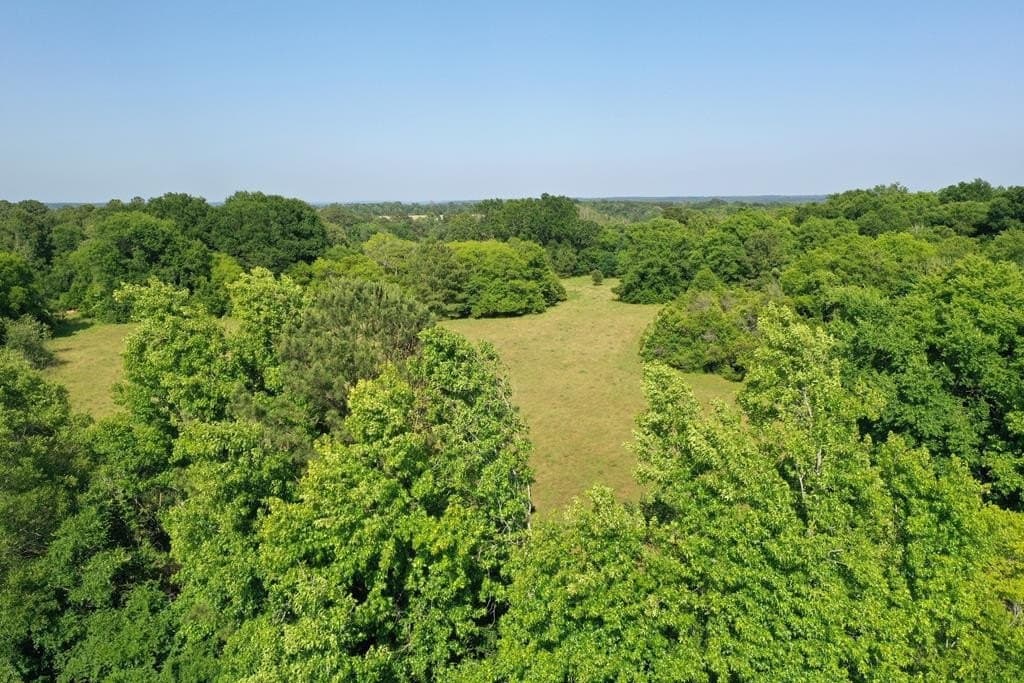 13.98 acres in ANDERSON County gallery image 3