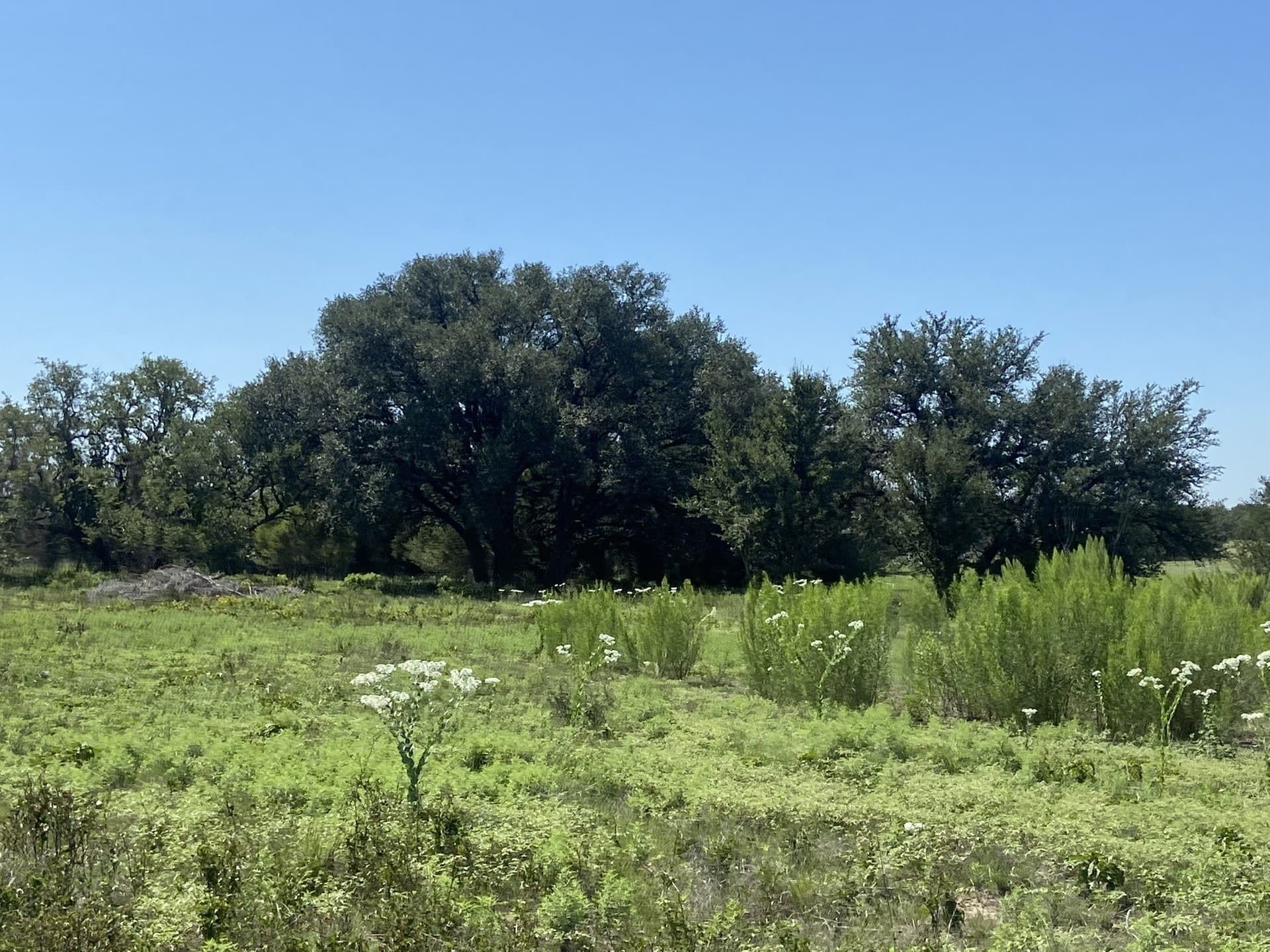177.29 acres in Mills County - photo 22