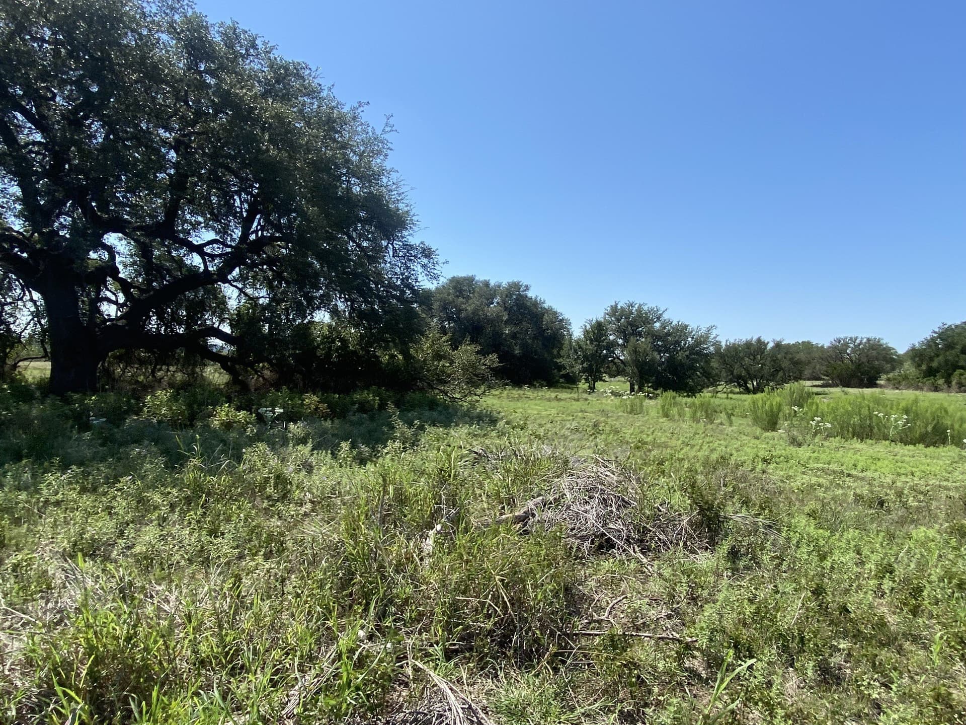 177.29 acres in Mills County - photo 24