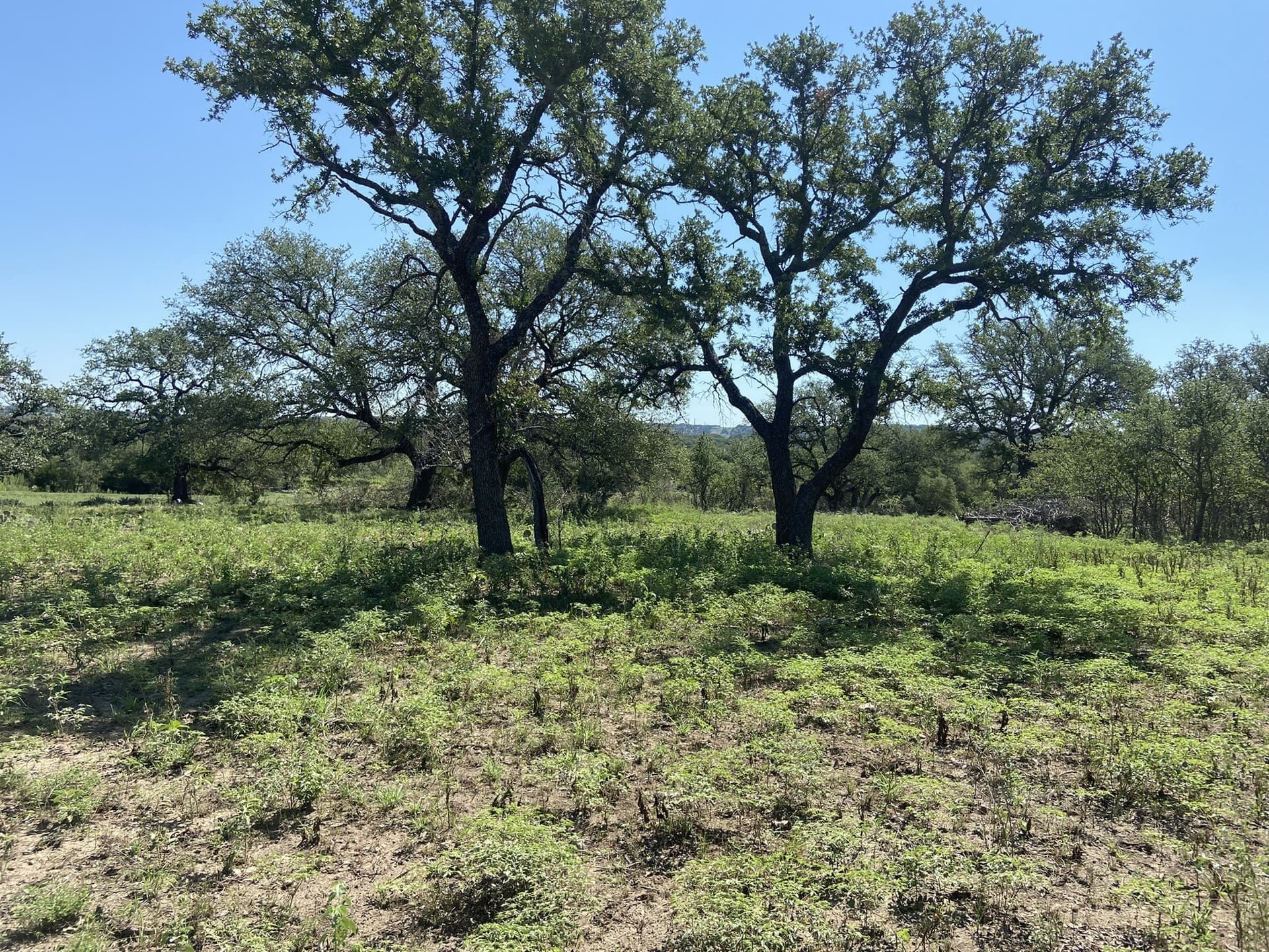 177.29 acres in Mills County - photo 13