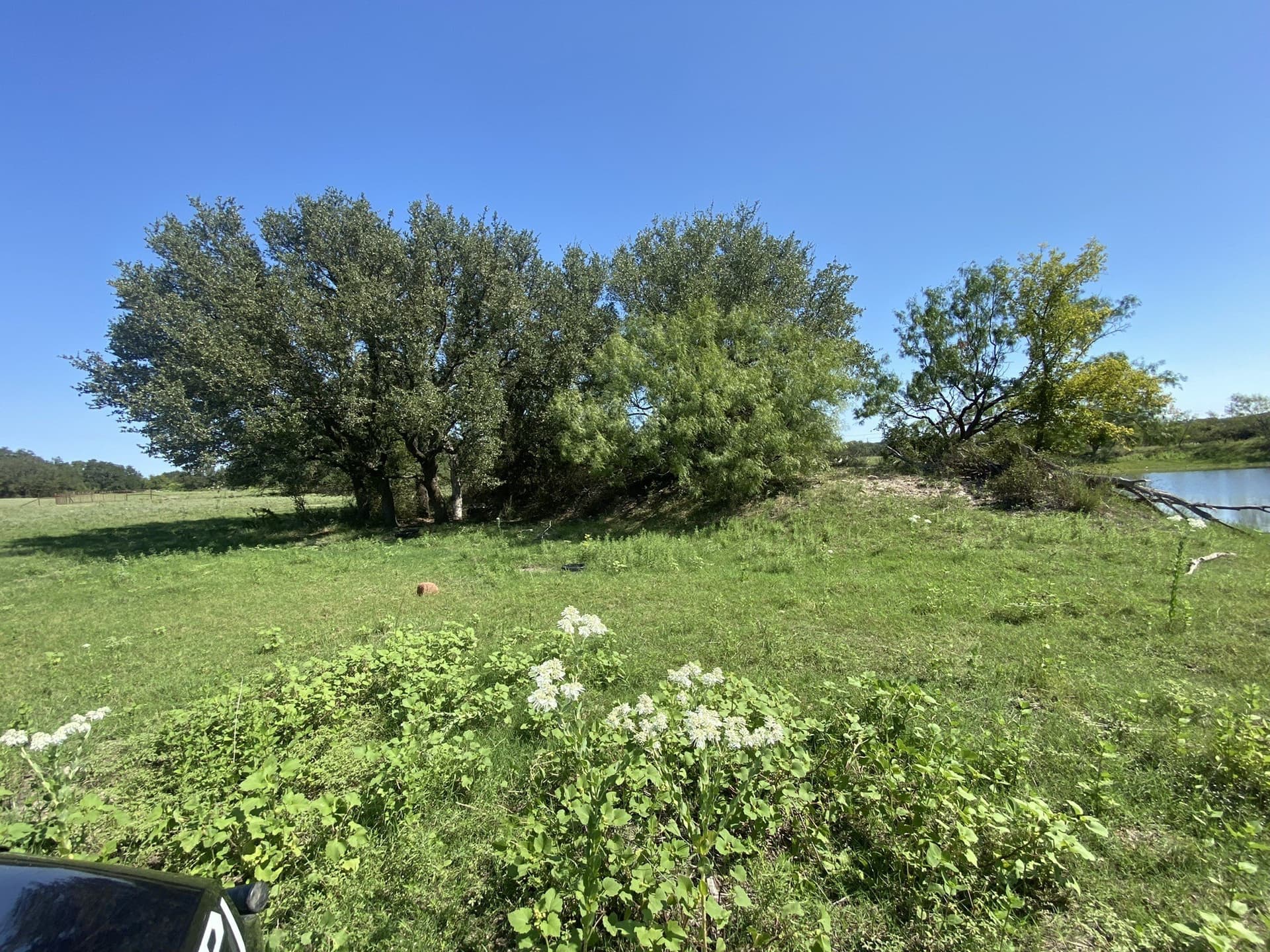 177.29 acres in Mills County - photo 18