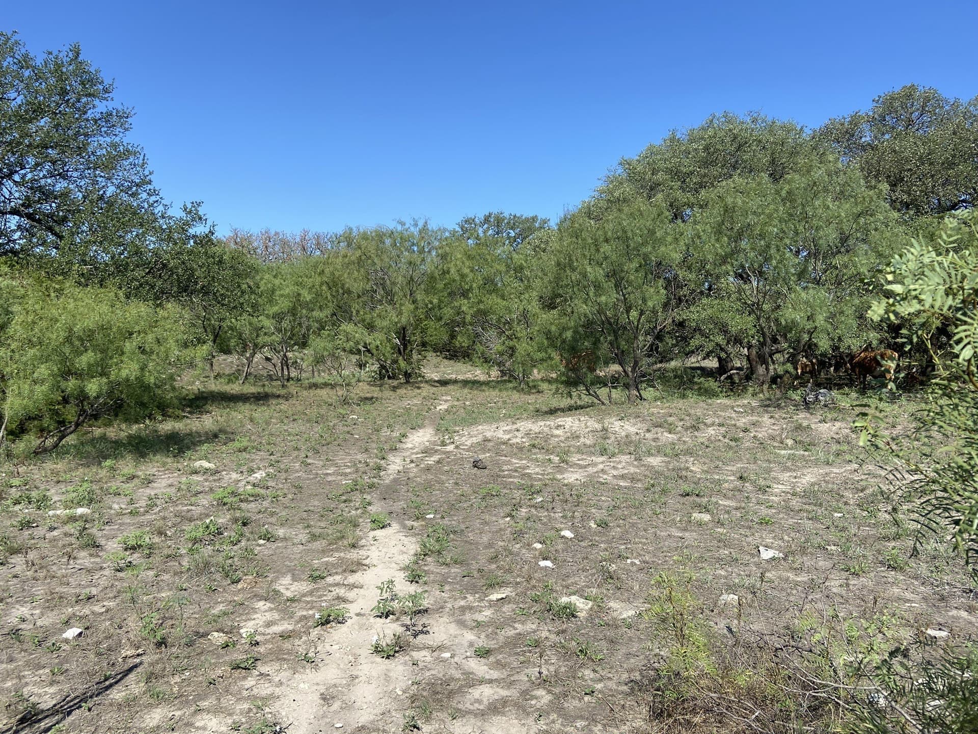 177.29 acres in Mills County featured view