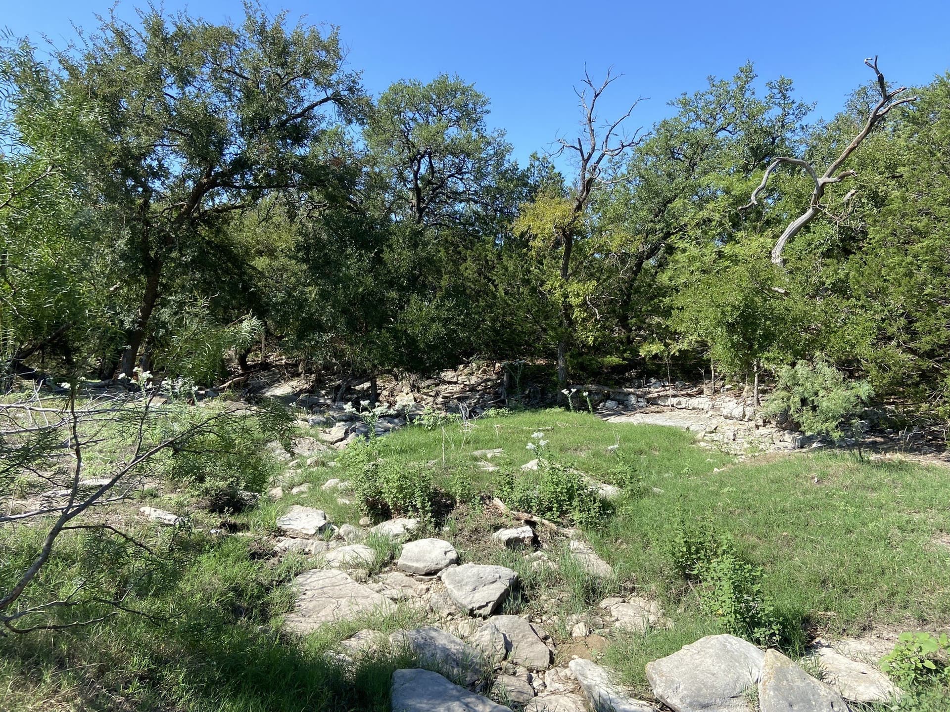 177.29 acres in Mills County - photo 6