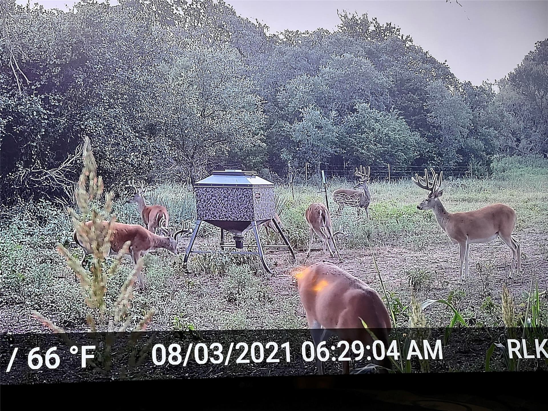 177.29 acres in Mills County - photo 28