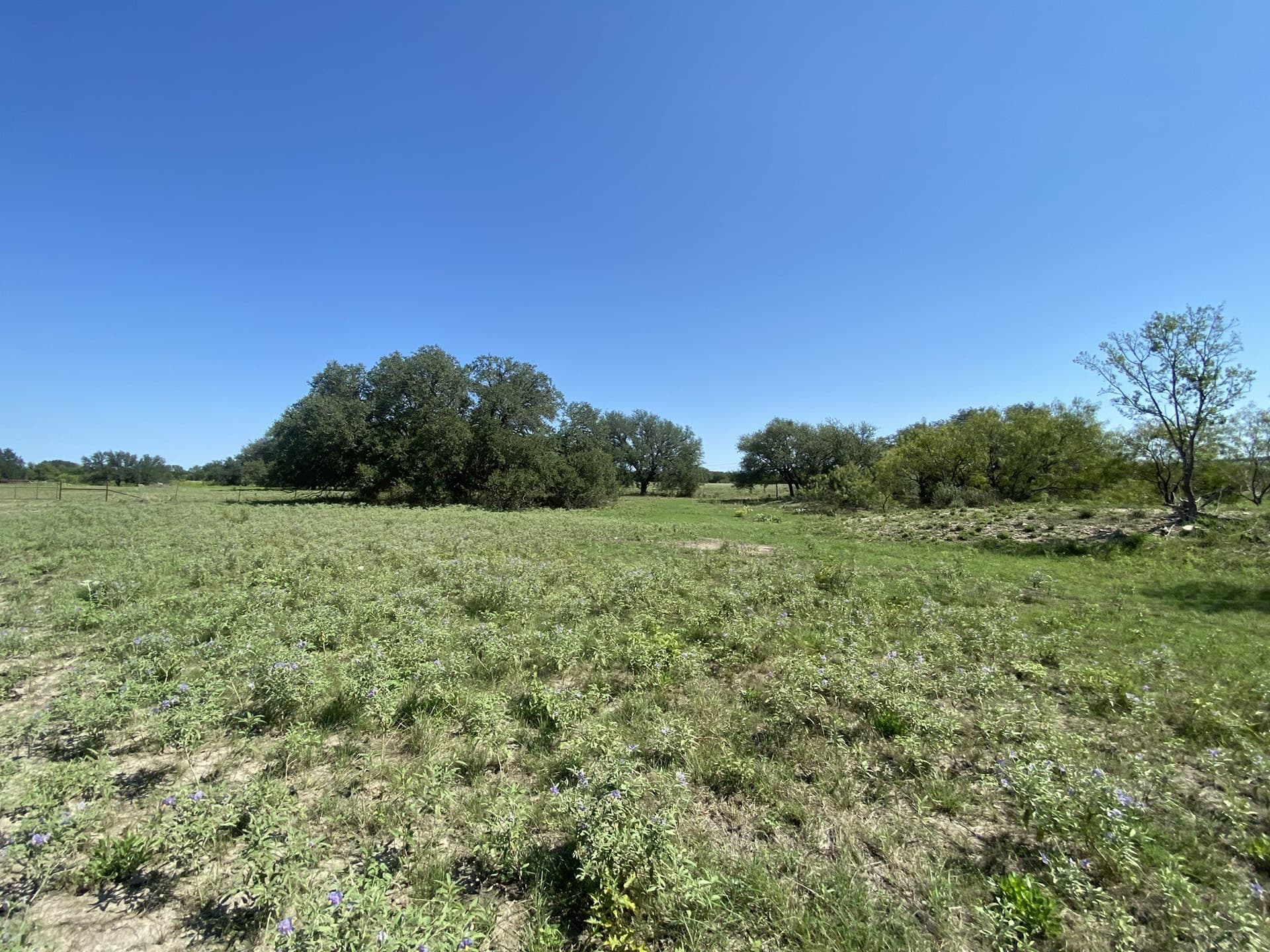 177.29 acres in Mills County - photo 19