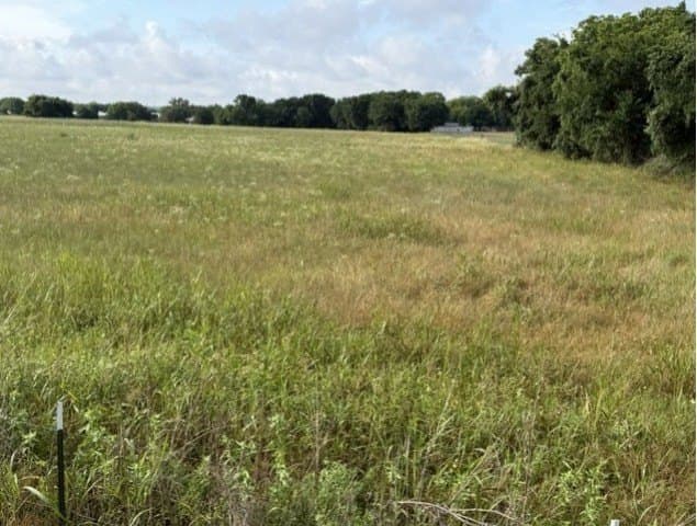 16.98 acres in Parker County - photo 4