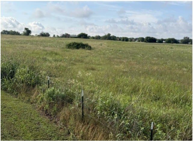 16.98 acres in Parker County - photo 3
