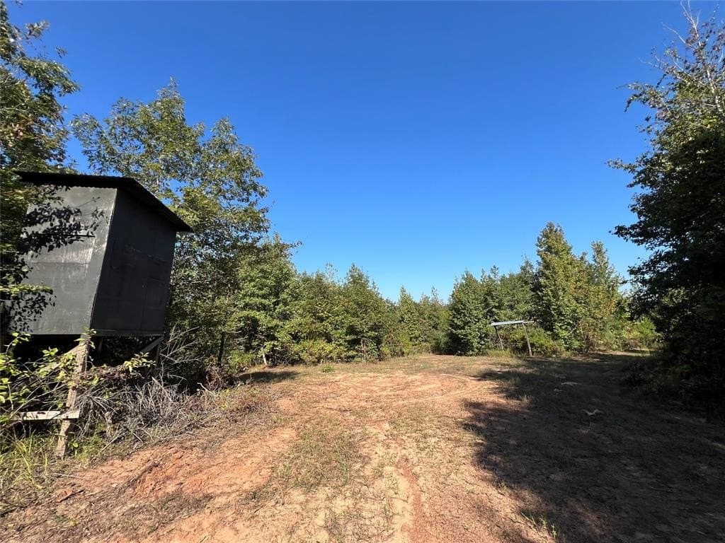 62 acres in Cass County gallery image 3