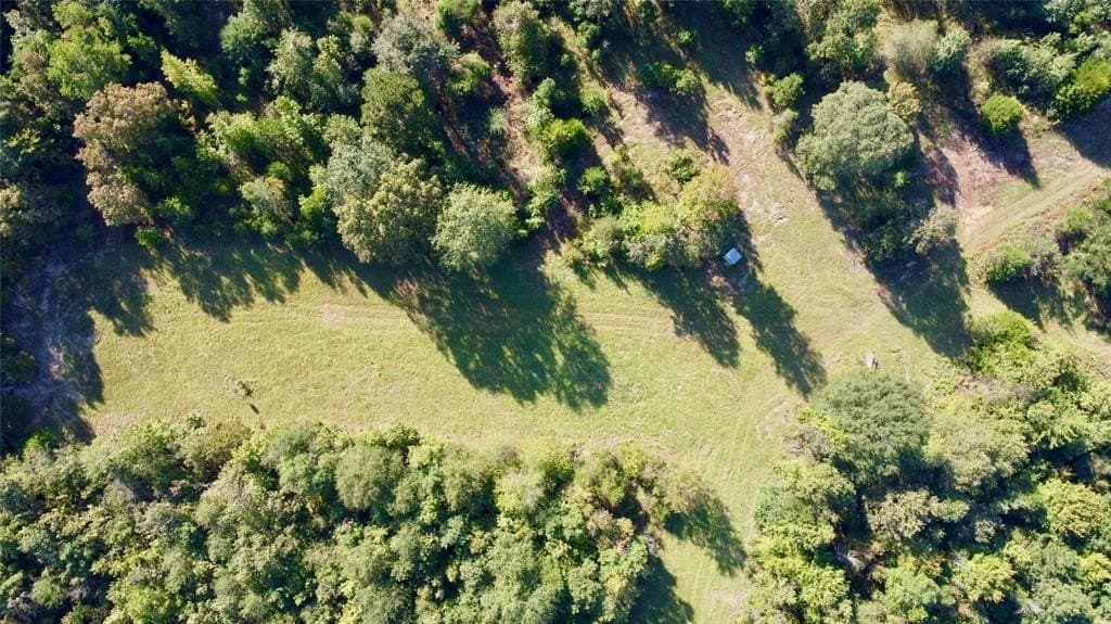 62 acres in Cass County gallery image 2