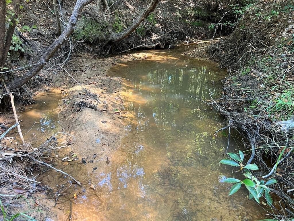 62 acres in Cass County featured view