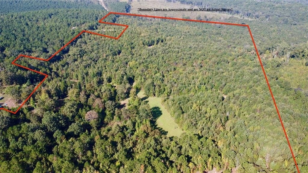 62 acres in Cass County gallery image 4