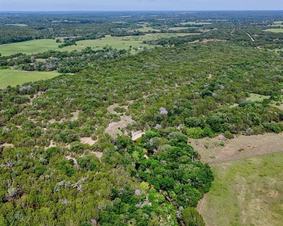 30 acres in Coryell County gallery image 2