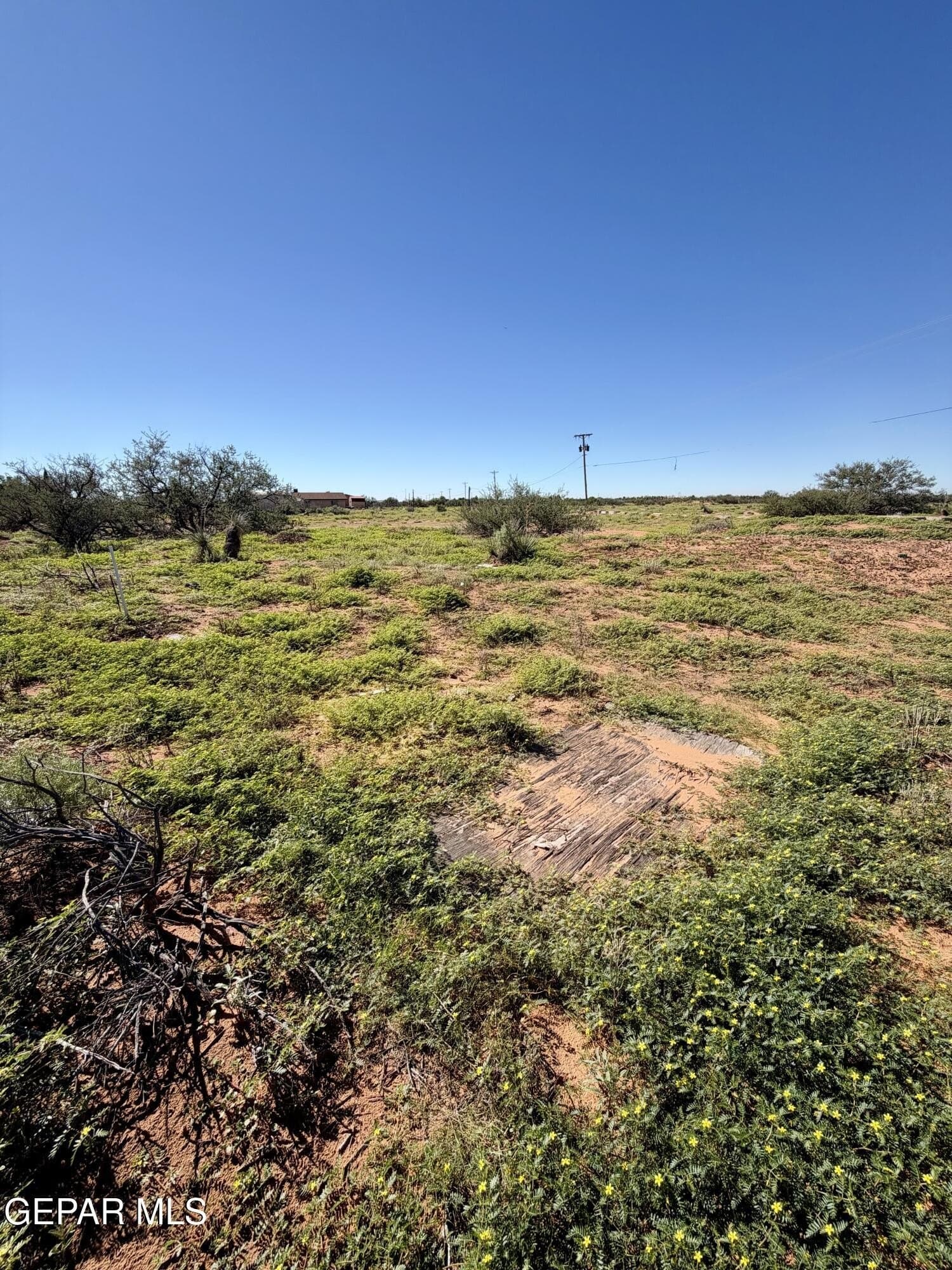 1.93 acres in El Paso County - photo 13