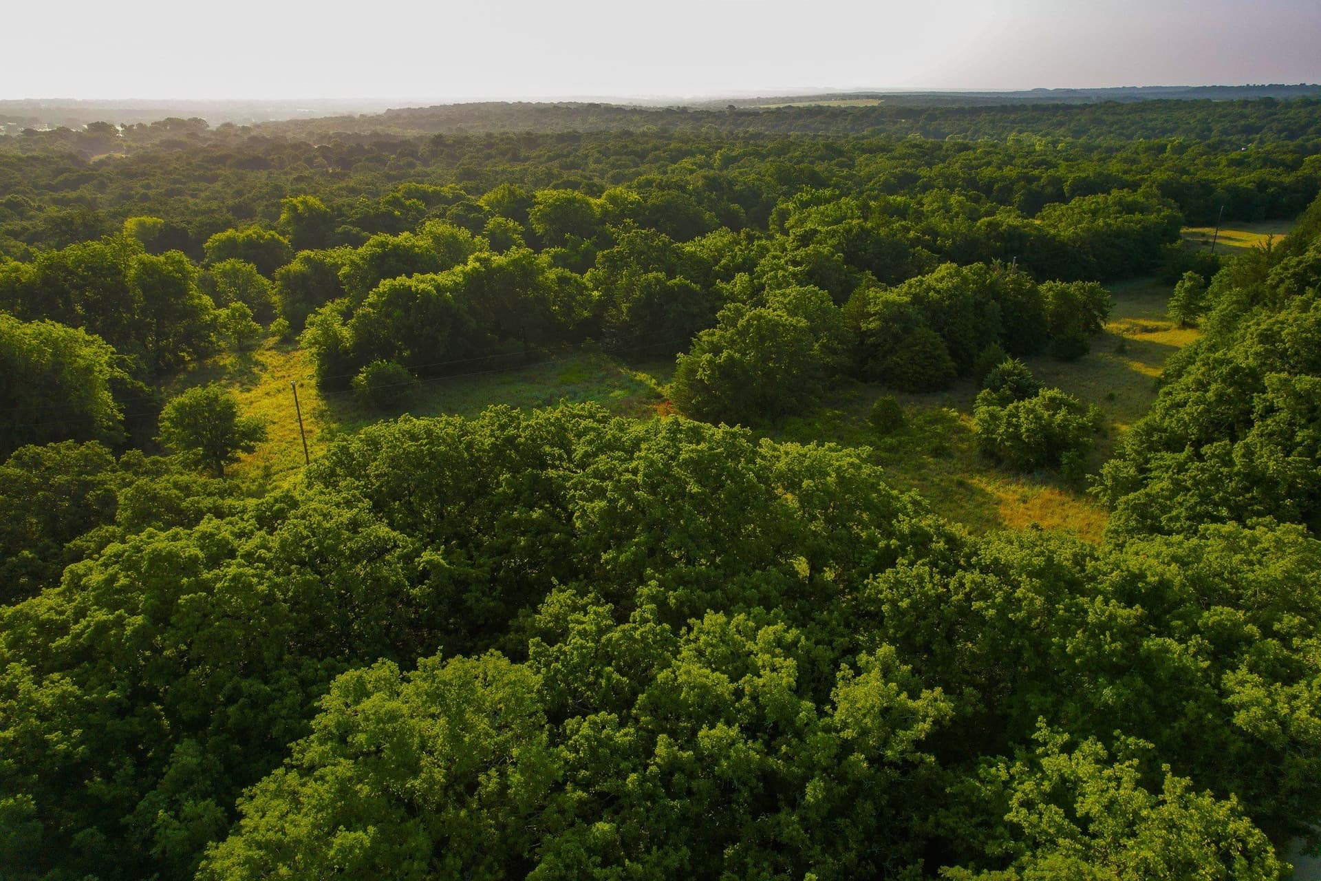 144 acres in Montague County - photo 24