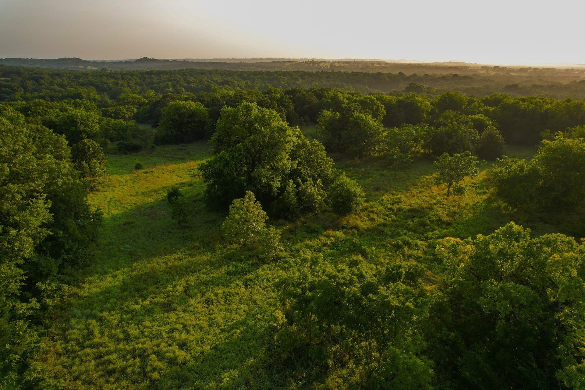 144 acres in Montague County - photo 28