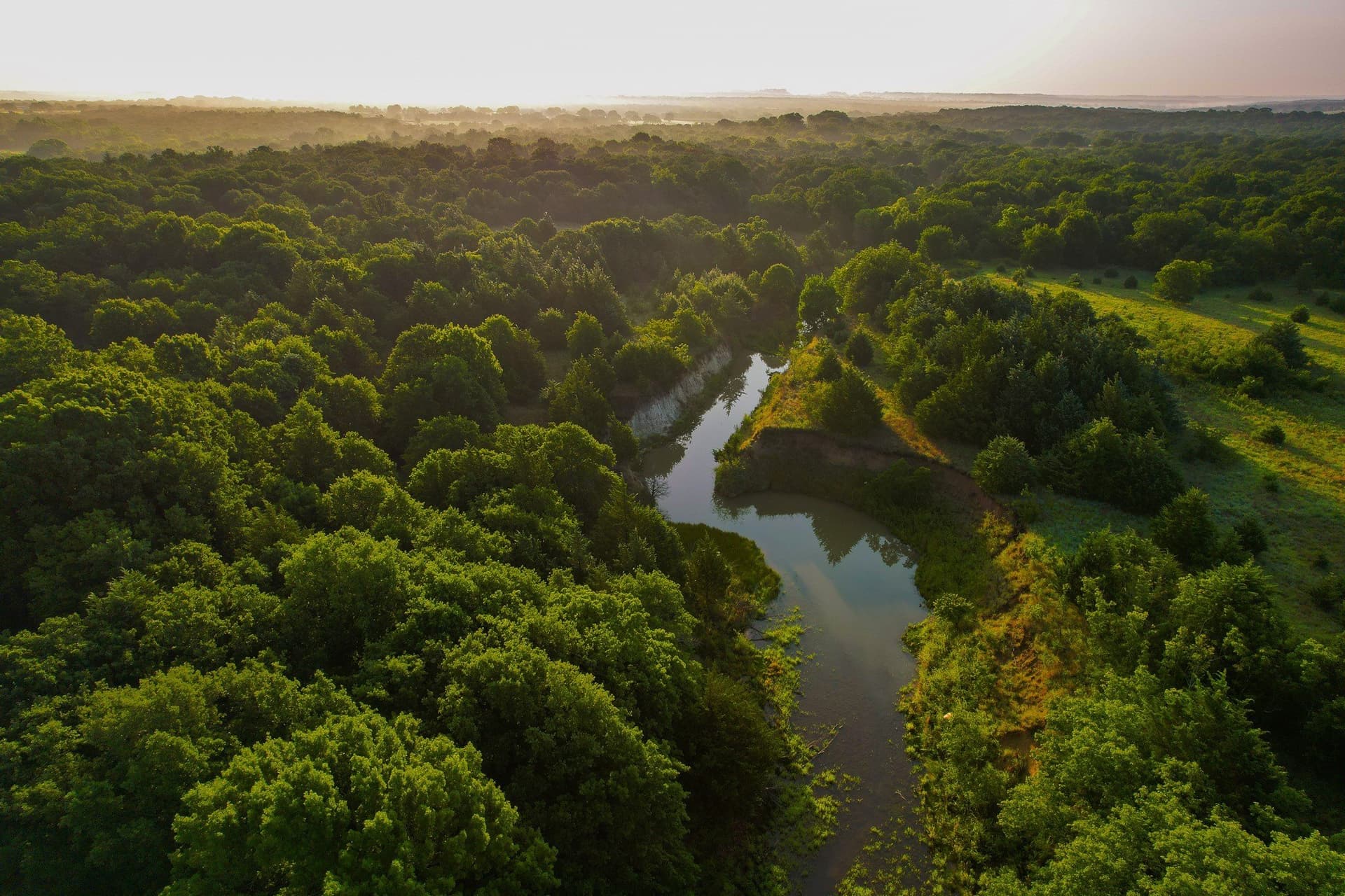 144 acres in Montague County - photo 4