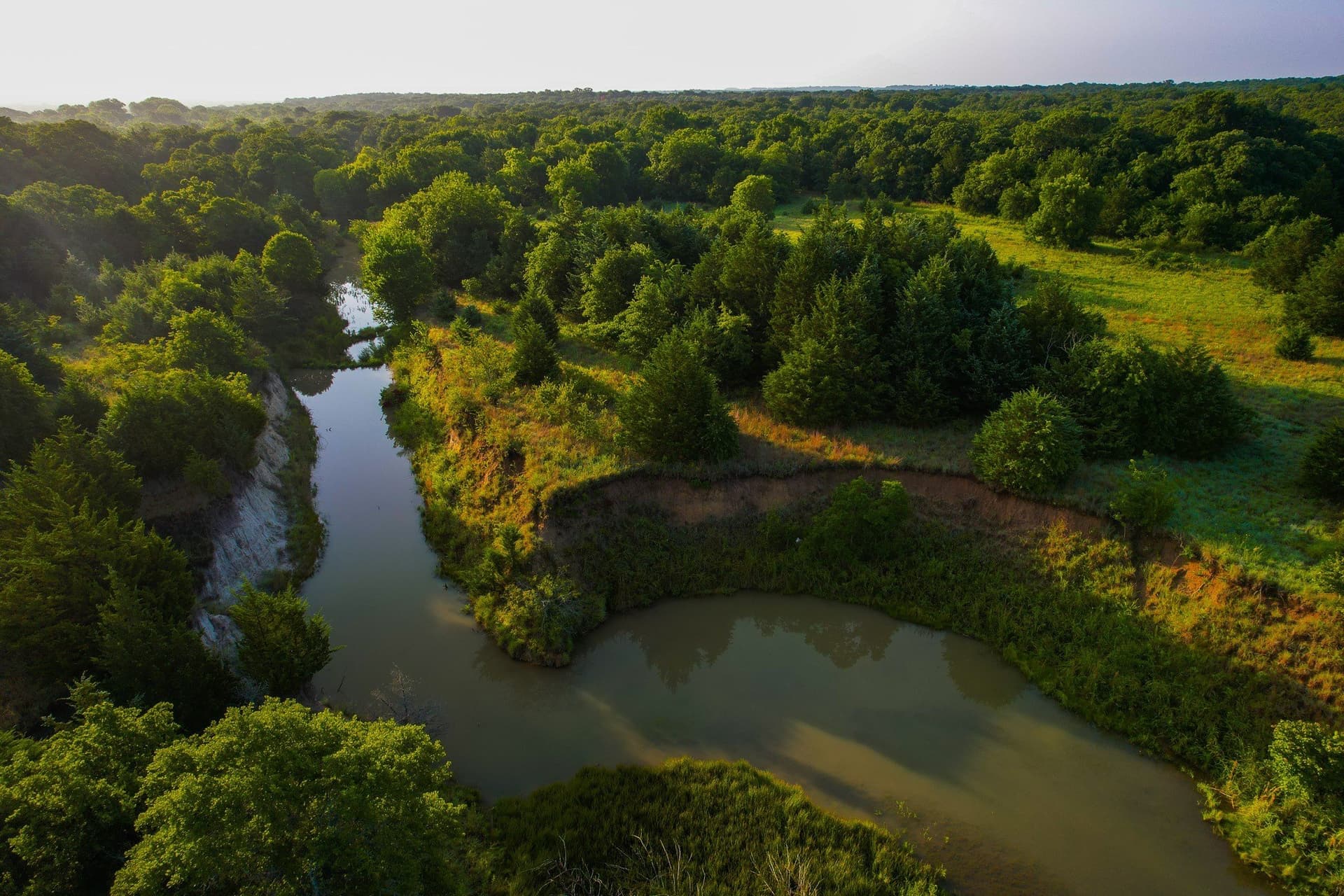 144 acres in Montague County - photo 12