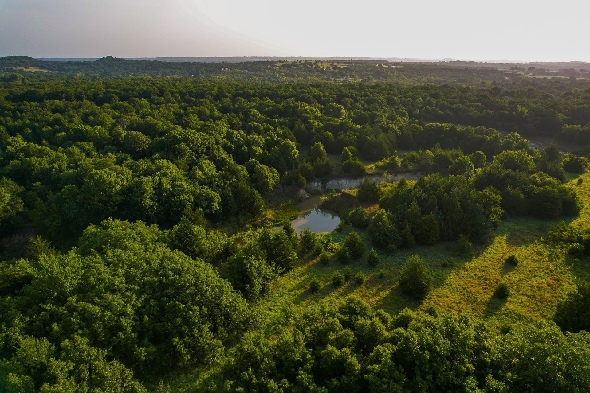 144 acres in Montague County - photo 15