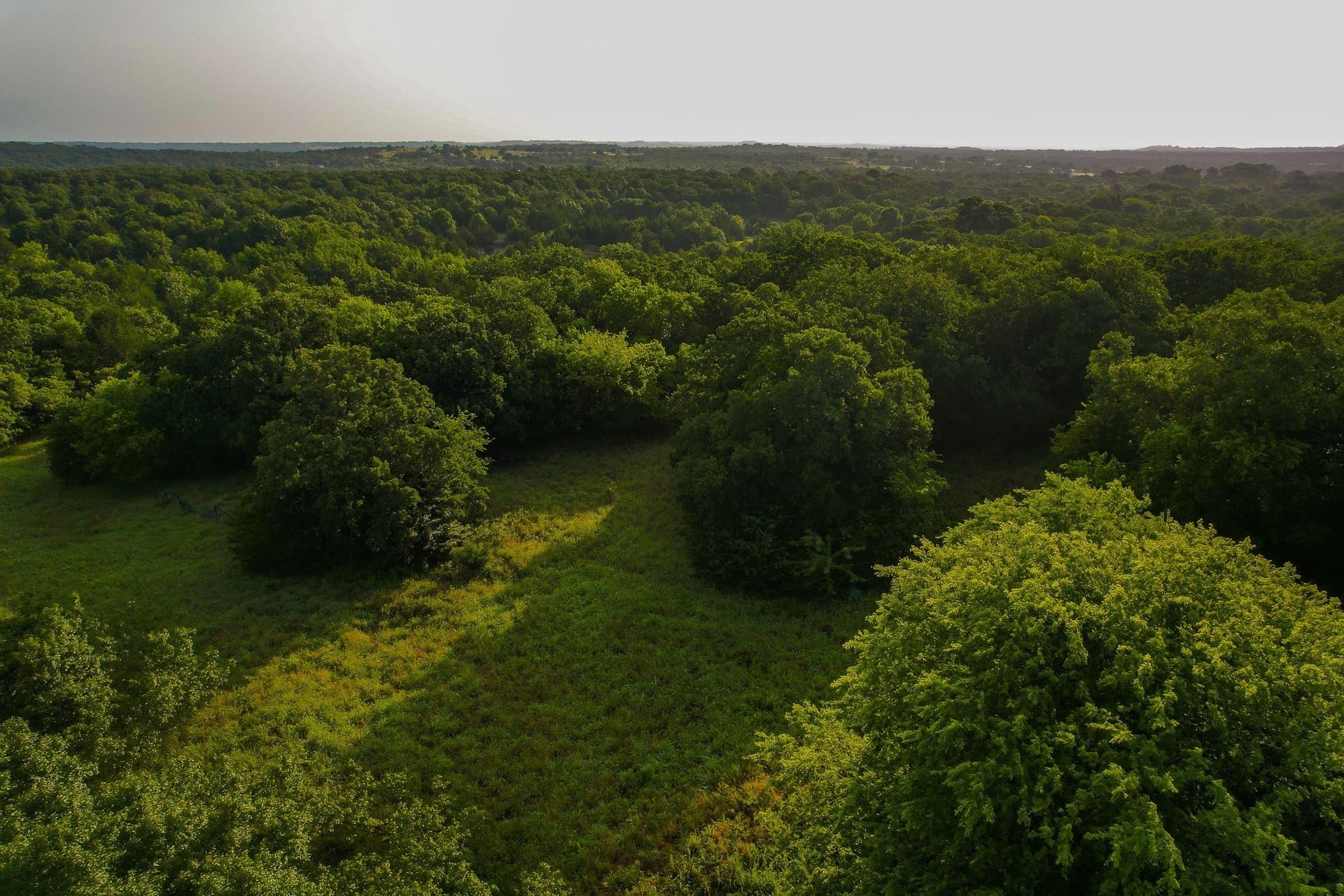 144 acres in Montague County - photo 16