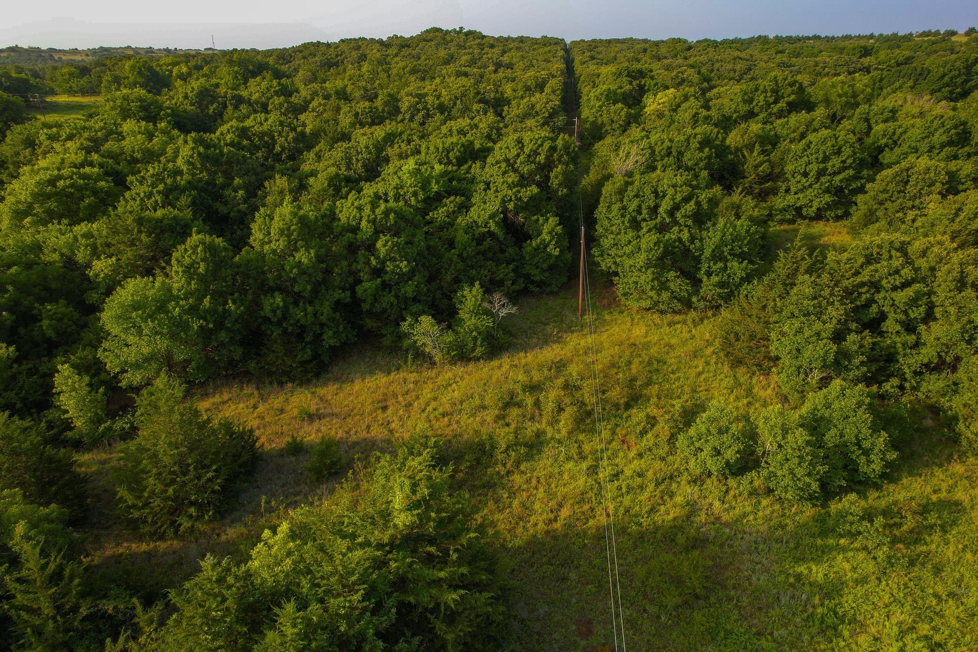 144 acres in Montague County - photo 7