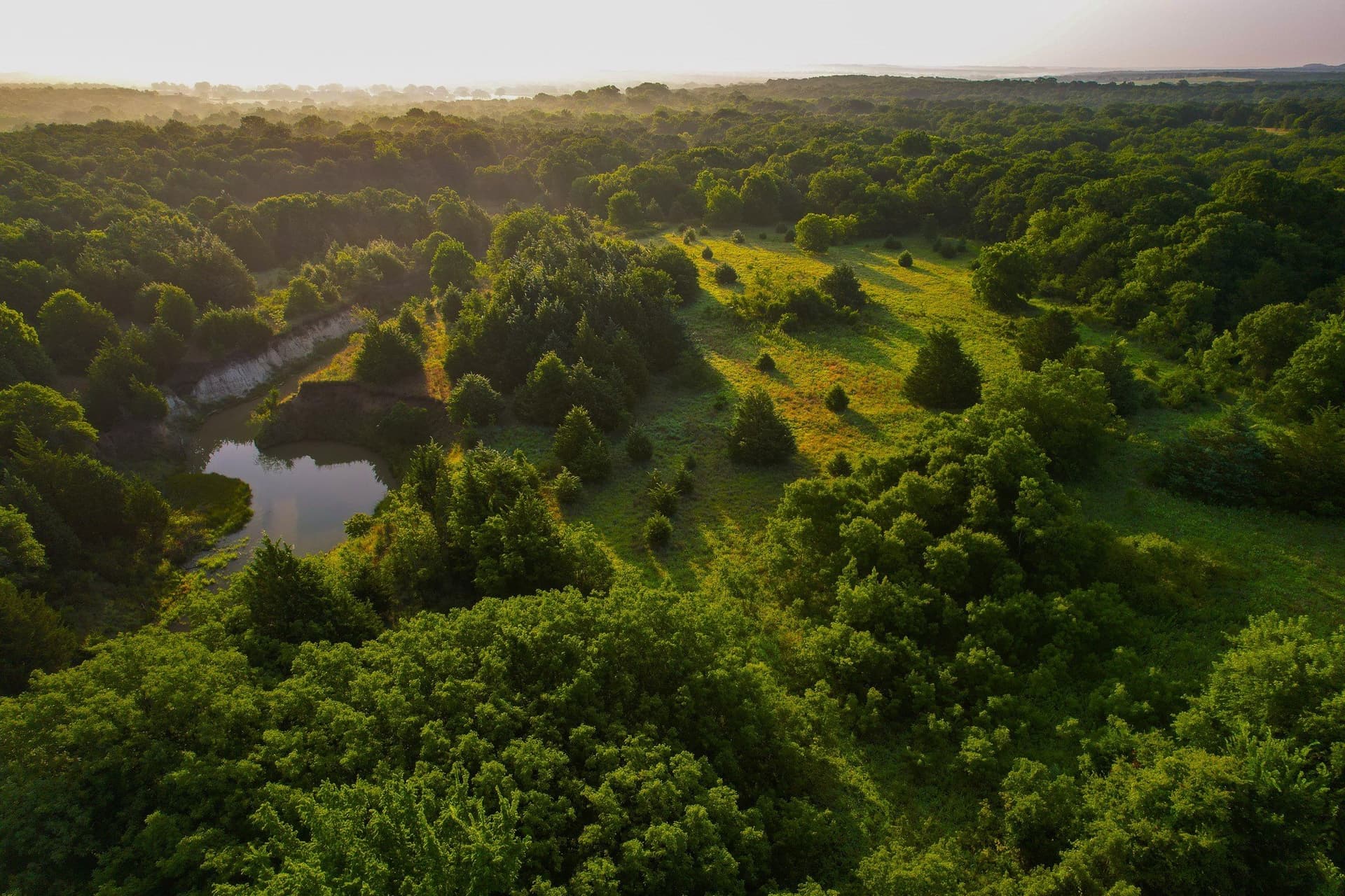 144 acres in Montague County - photo 27