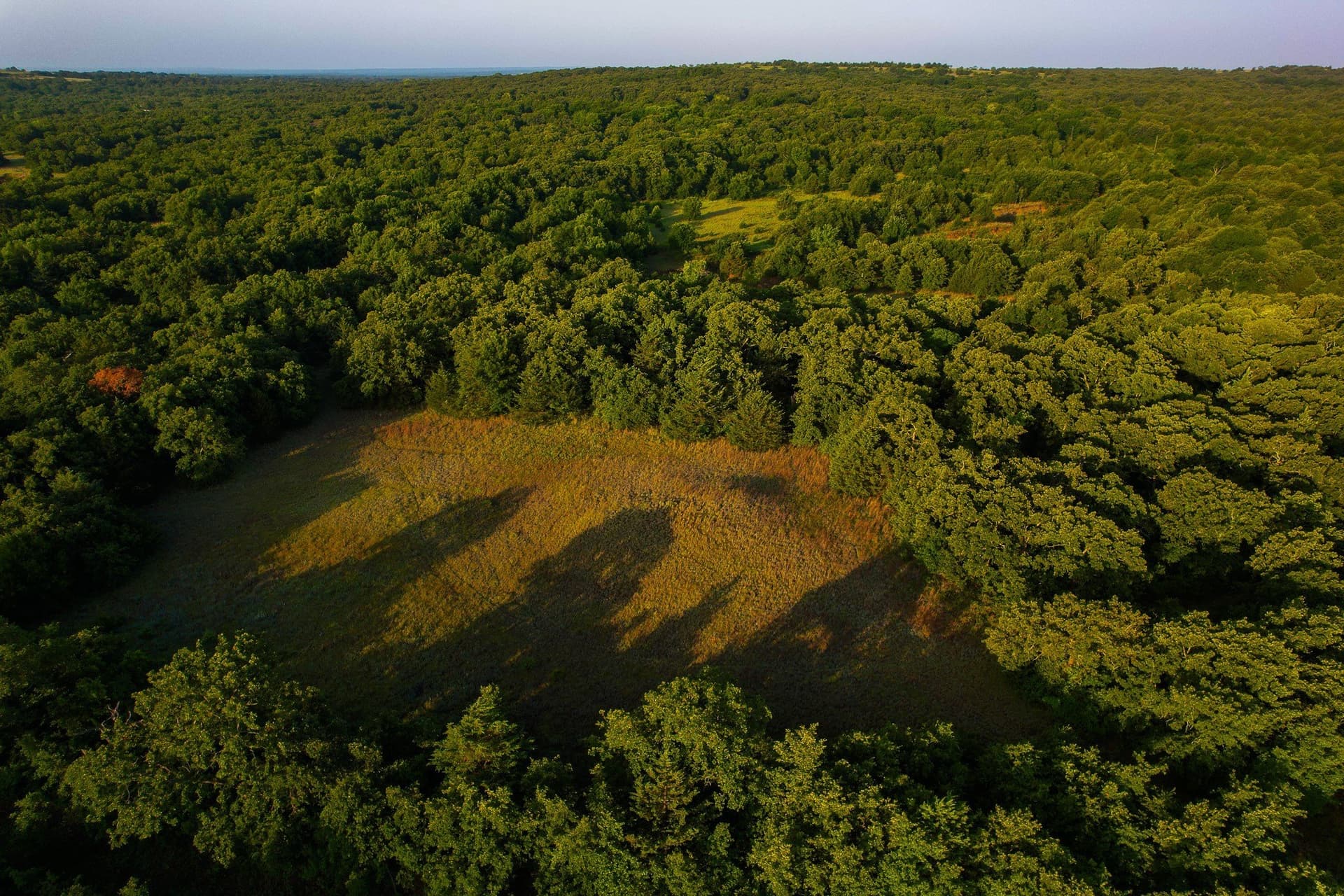144 acres in Montague County - photo 32