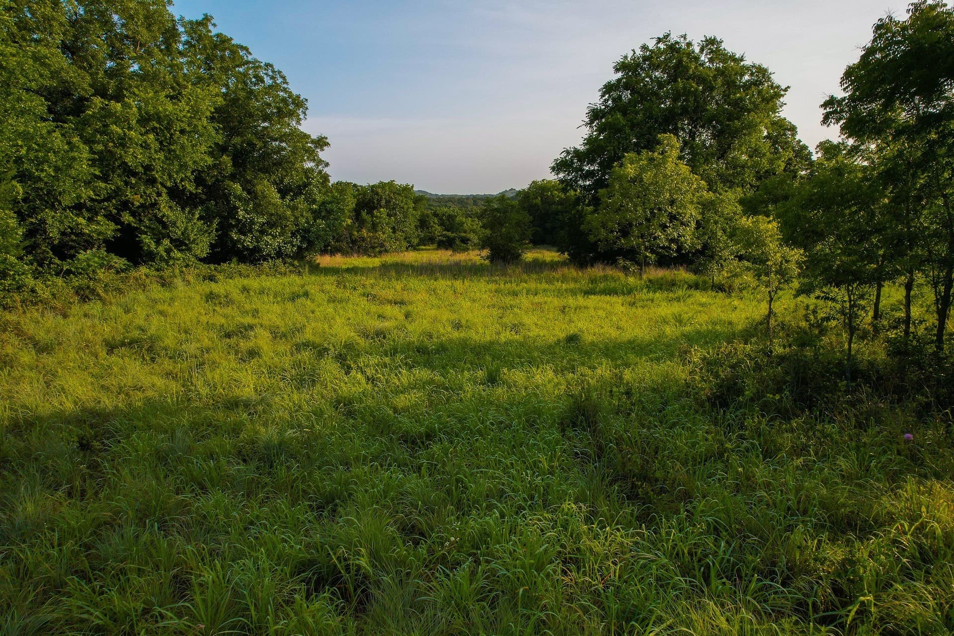 144 acres in Montague County - photo 10