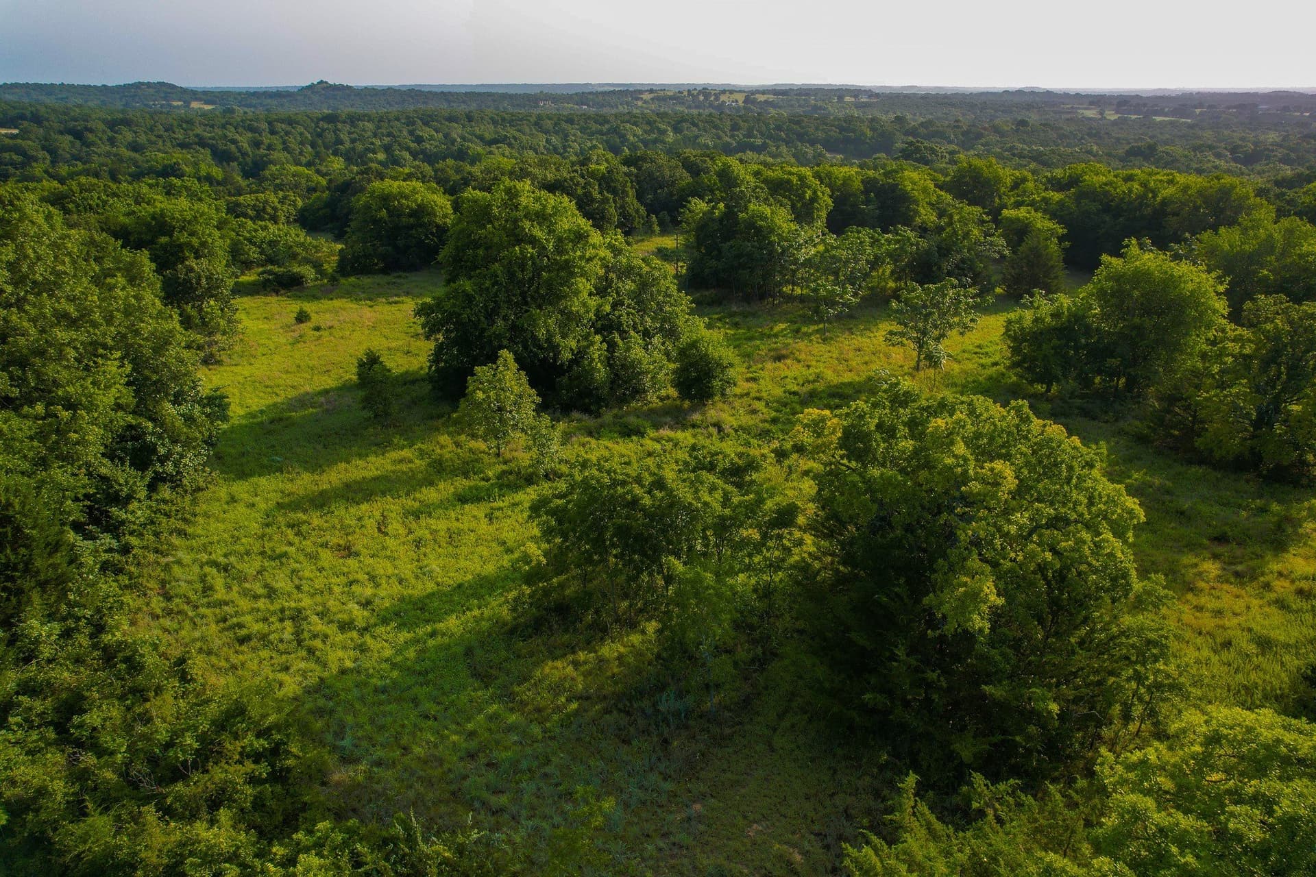 144 acres in Montague County - photo 5