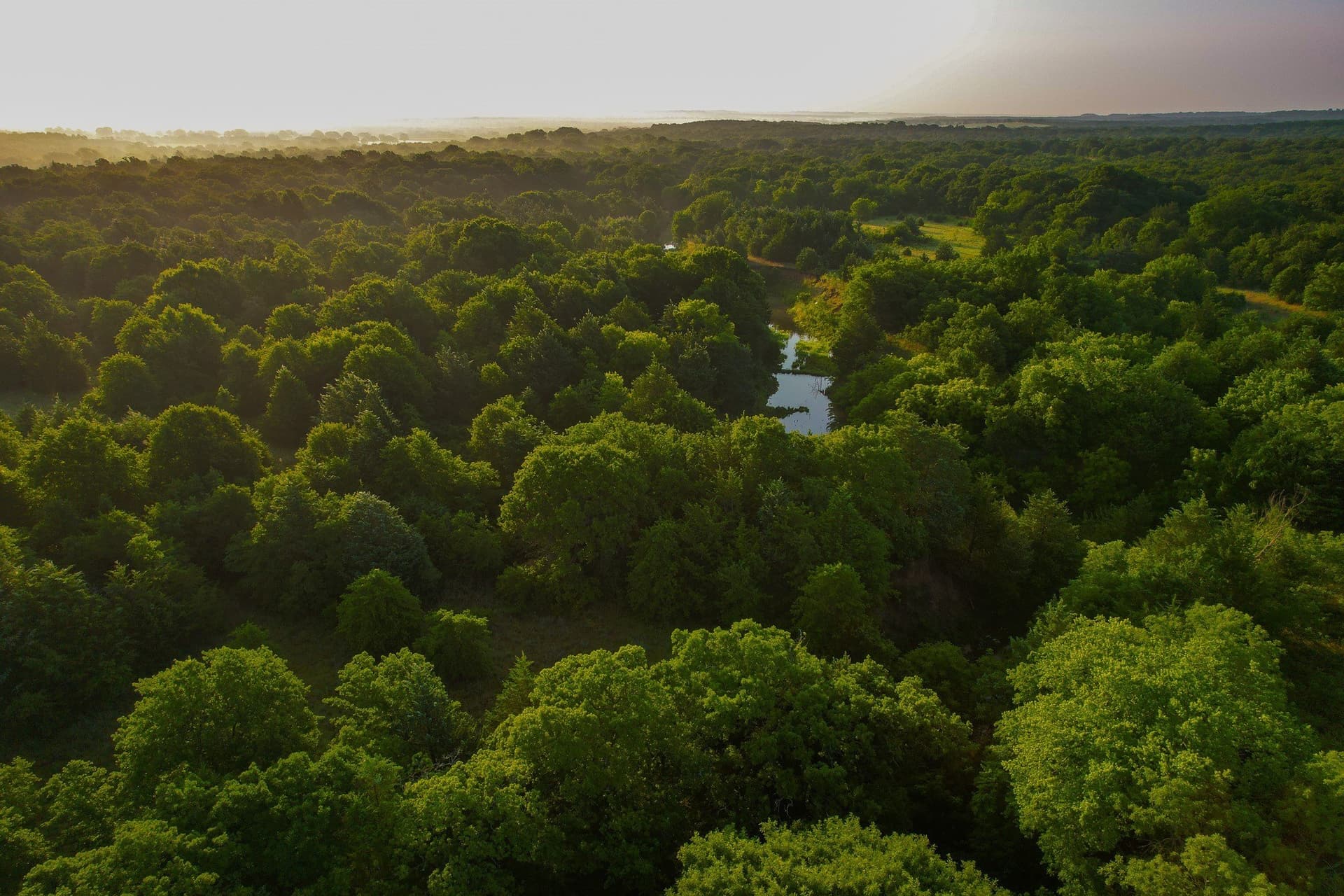 144 acres in Montague County - photo 11