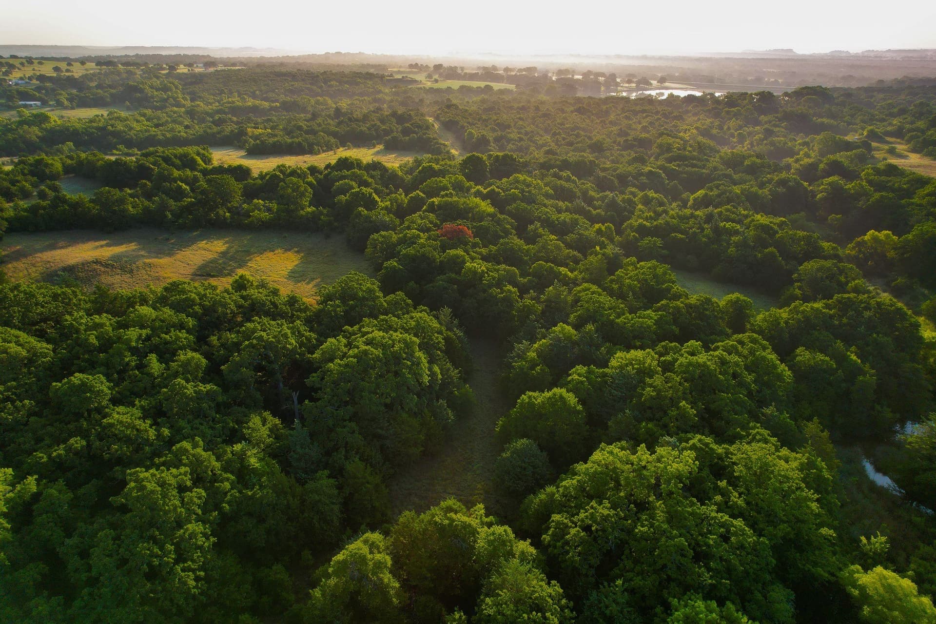 144 acres in Montague County - photo 33